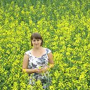 ���� �����, �������, 36 ��� - ��������� 18 ������� 2015 � ������ ���� ����������