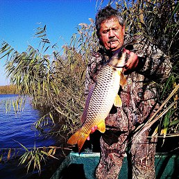 ��������, ������, 54 ����