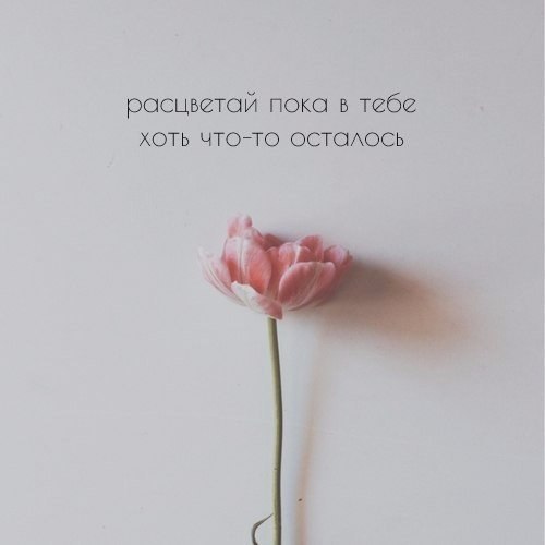     - 20  2015  17:17