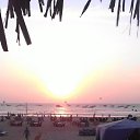 ���� �����, ���������, 61 ��� - ��������� 2 ������ 2016 � ������ ���� ������� 2015 ���