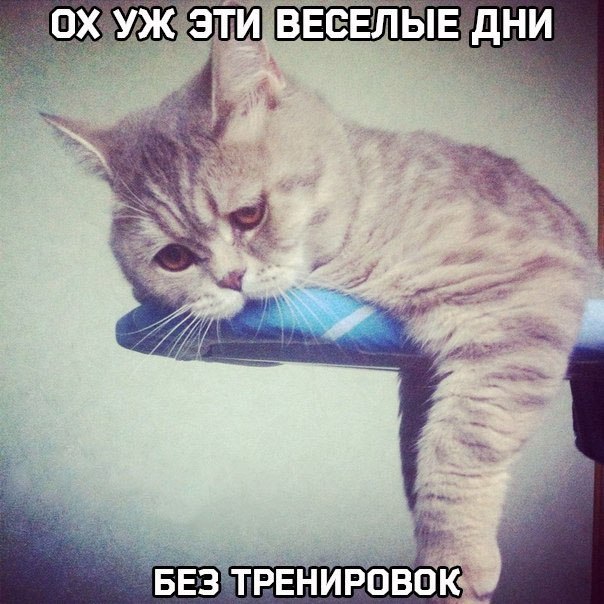 ����� - ��� ����� - 28 �������� 2015 � 03:59