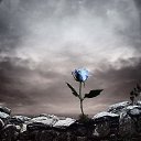 ���� ������, ����� - ��������� 6 ������� 2015 � ������ ������ ��������