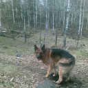 ���� ������� ����-���, ������, 45 ��� - ��������� 14 ������ 2016 � ������ ��� �������