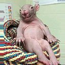 ���� ����� �, ������� - ��������� 24 ������ 2015 � ������ ������