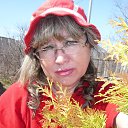 ������ ����...