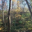 ���� �������, ���������, 85 ��� - ��������� 1 ������ 2015 � ������ ������ ��������