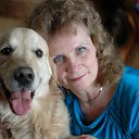 ���� ��������, ��������� - ��������� 22 ������� 2016 � ������ ���� ����������