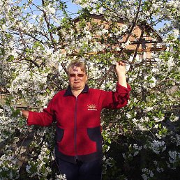 ���� �����, ������� - ��������� 24 ������� 2015