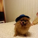 ���� �������, ������, 59 ��� - ��������� 23 ������ 2016 � ������ ���� ����������