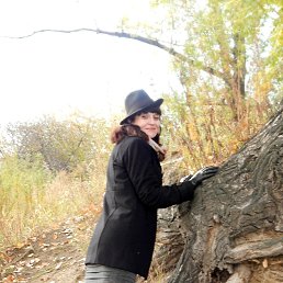 ���� @@@L@@@, ���������� - ��������� 1 ������� 2015