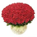 ���� �����, ������, 50 ��� - ��������� 3 ������� 2015 � ������ ���� ����������