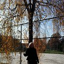 ����� �� ������� �������� �����