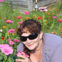 ���� ������, �����������, 66 ��� - ��������� 8 ������� 2015 � ������ ���� ����������