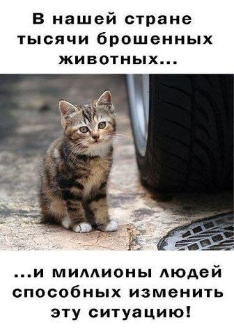 ��� ���� � ����� �� �� - 5 ������� 2015 � 06:30