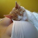 ���� ������, �����, 48 ��� - ��������� 16 ������� 2015 � ������ ������ ��������