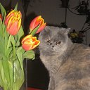 ���� ������, ���������, 45 ��� - ��������� 11 ������ 2016 � ������ ������