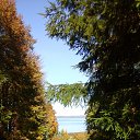   ))  !!!, , 70  -  10  2015    