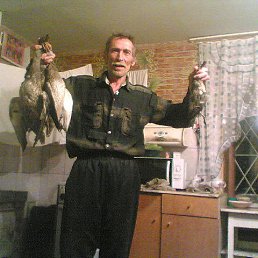 �������, ��������, 60 ���