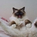 ���� �����, ���������, 59 ��� - ��������� 3 ������ 2015 � ������ ���