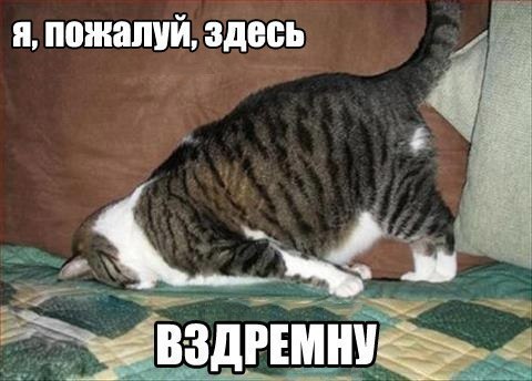   - 8  2015  10:04