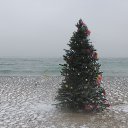 31.12.2015 �� ������� �����, ����