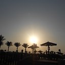  , -, 42  -  2  2015   , 2015 ()