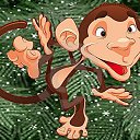 ���� ��������, Kouvola, 78 ��� - ��������� 3 ������� 2015 � ������ �������������, ����������