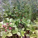 ���� �������, ���������� - ��������� 6 ����� 2016 � ������ ���� ����������