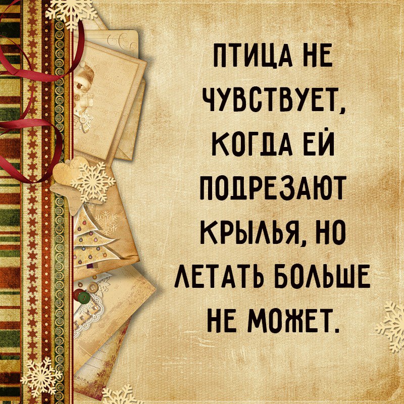    - 27  2015  18:37