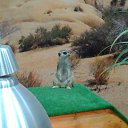 ���� �����, ��������, 47 ��� - ��������� 2 ������ 2016 � ������ ���� ����������