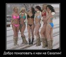 ���� Sakhalin, ���������, 42 ���� - ��������� 15 ������� 2015 � ������ ������ ��������