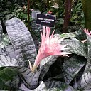 ���� ���������, ��������, 70 ��� - ��������� 5 ����� 2016 � ������ �������