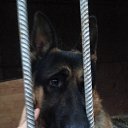 ���� �����, ��������, 30 ��� - ��������� 14 ������ 2015 � ������ ���� ����������