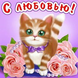 ���� �������, ���������� - ��������� 22 ������ 2016