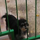 ���� Nikos, ��������, 65 ��� - ��������� 12 ������� 2015 � ������ ���� ����������