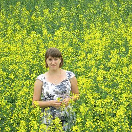 ���� �����, �������, 36 ��� - ��������� 18 ������� 2015