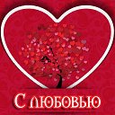 ���� ������, ������ �����, 65 ��� - ��������� 22 ������� 2015 � ������ �������� ��������