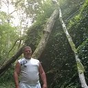 ���� ������, ������� ��������, 49 ��� - ��������� 25 ������� 2015 � ������ ���� ����������