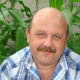 ���������, ������ �����, 61 ���