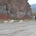 ���� Salavat, ���� - ��������� 17 ������� 2015 � ������ ��������� ��������