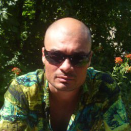 �����, ��������, 43 ����