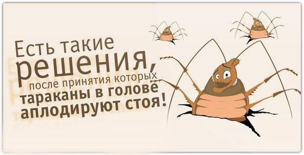 - ,  - 29  2015  14:37