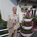 ���� �������, ����������, 61 ��� - ��������� 6 ������� 2016 � ������ ���� ����������