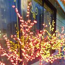 ���� ����, ���������, 74 ���� - ��������� 1 ������ 2016 � ������ ���� ����������