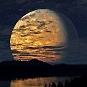  ******, , 53  -  14  2015   