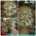 ���� �������, ��������, 52 ���� - ��������� 24 ������� 2016 � ������ ������ ��������