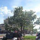 ���� ��������, ������ - ��������� 5 ������� 2015