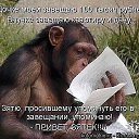 ���� Viktor, ����� - ��������� 28 ������� 2015 � ������ ���� ����������