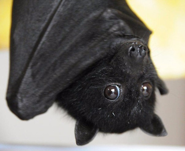 "� ����, ������� �� ������� ����!" - 3