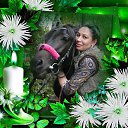  ,  , 46  -  22  2015    